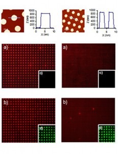 Langmuir (Small) (3)